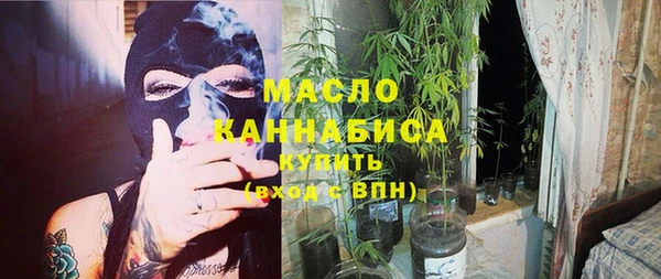 прущий лед Вяземский