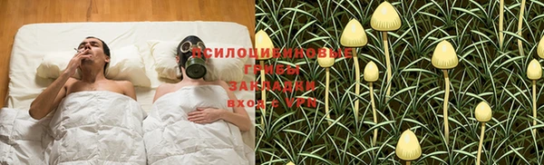 прущий лед Вяземский