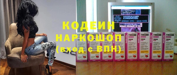 прущий лед Вяземский