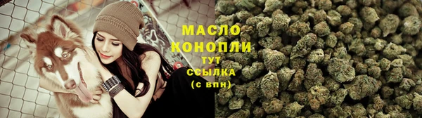 прущий лед Вяземский