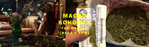 прущий лед Вяземский