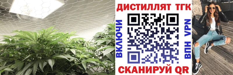 ТГК вейп с тгк  Купить где  Буйнакск 